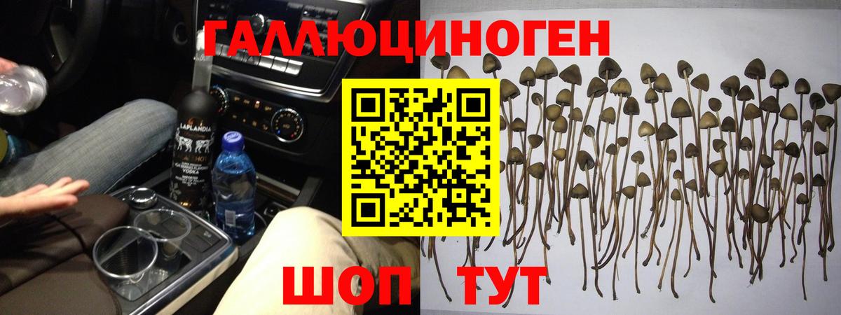 Псилоцибиновые грибы мицелий Мценск